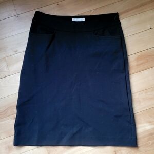 Talbots Skirt
